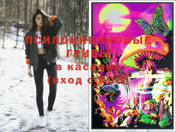 метамфетамин Алексеевка