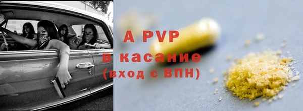 сатива Осинники