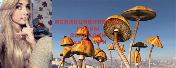 метамфетамин Алексеевка