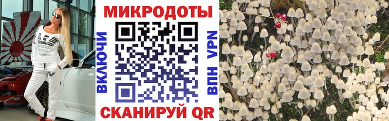 магазин    Боровичи  Псилоцибиновые грибы GOLDEN TEACHER 
